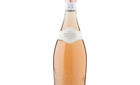 24 Great Wines for Under £10: Fizz, White, Rosé, Red & Zero Alcohol