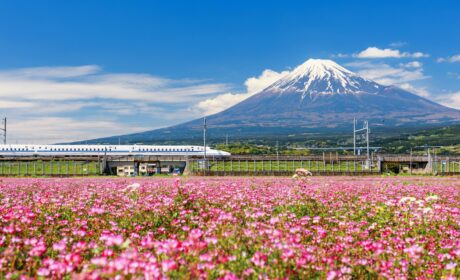 Why everyone should experience a rail holiday