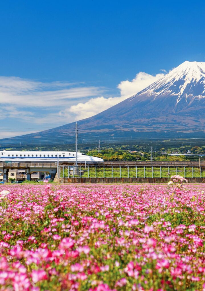 Why everyone should experience a rail holiday