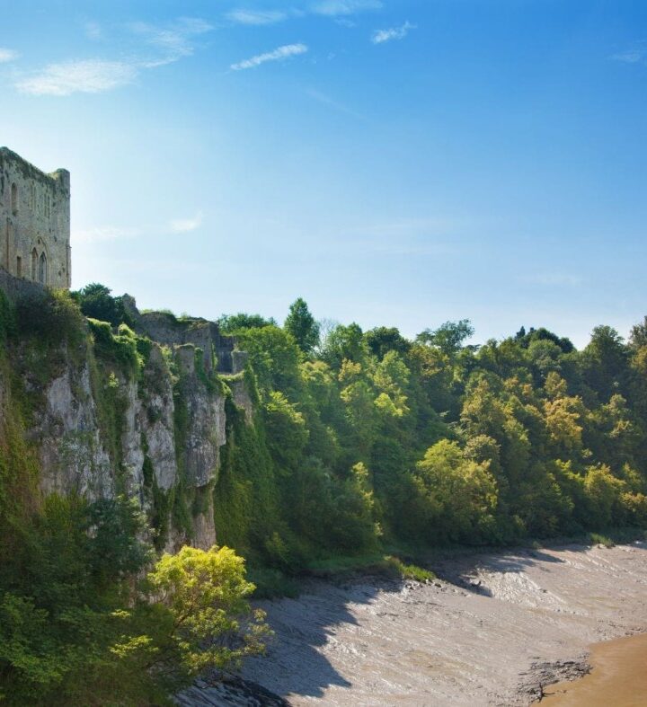 REDISCOVERING THE PICTURESQUE WITH REV. GILPIN LANDSCAPE APPRECIATION HOLIDAYS